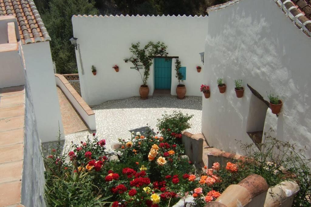 Casa Rosa, Con Encanto Y Piscina Climatizada Фрихилиана Экстерьер фото